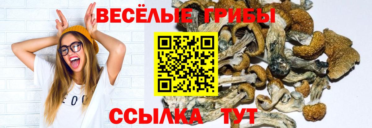 Галлюциногенные грибы MAGIC MUSHROOMS  Галлюциногенные грибы Psilocybe  Вход с VPN  Усолье-Сибирское 